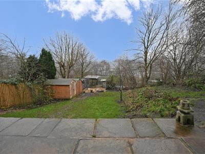 Picture 24